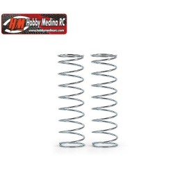 MUELLES TRASEROS C-0.53 -...