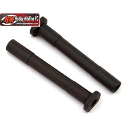 POSTER SALVASERVOS HONG NOR...